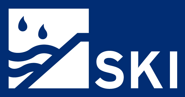 LOGO SKI RGB 27mm