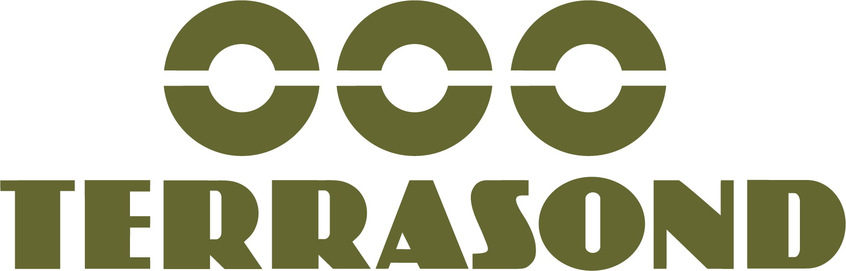 Terrasond Logo RECHTECK CMYK